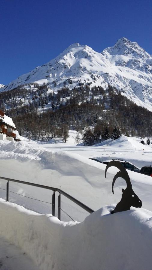 Maloja Kulm Hotel Exterior foto